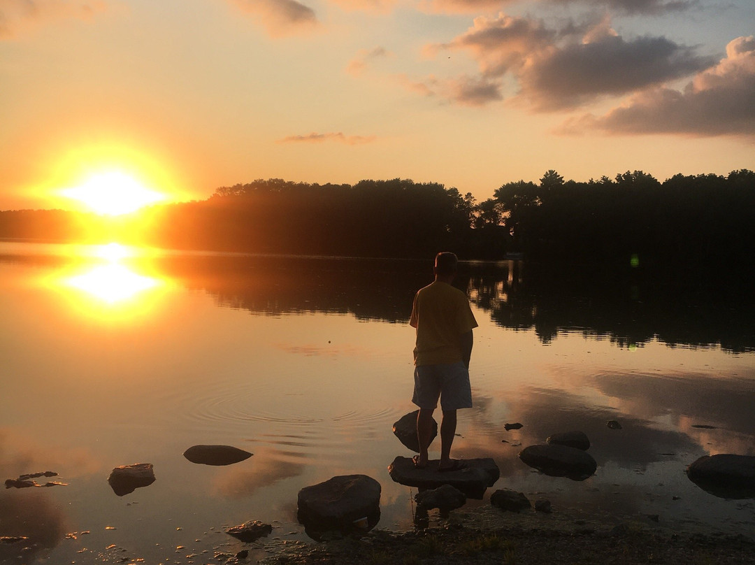 Hampton旅游攻略图片