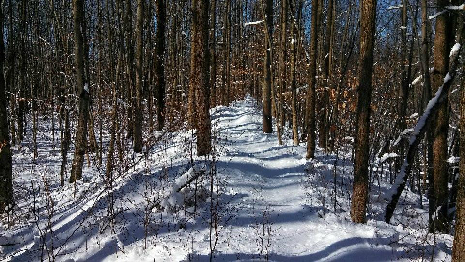Plainsboro Preserve-Cranbury必去景点