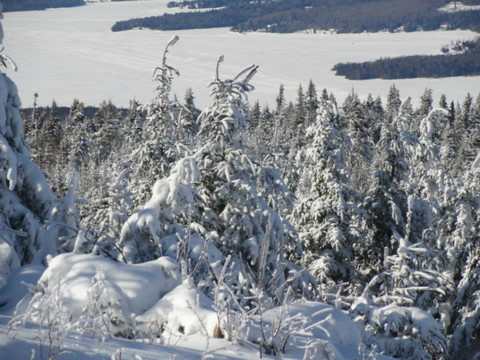 West Stewartstown旅游攻略图片