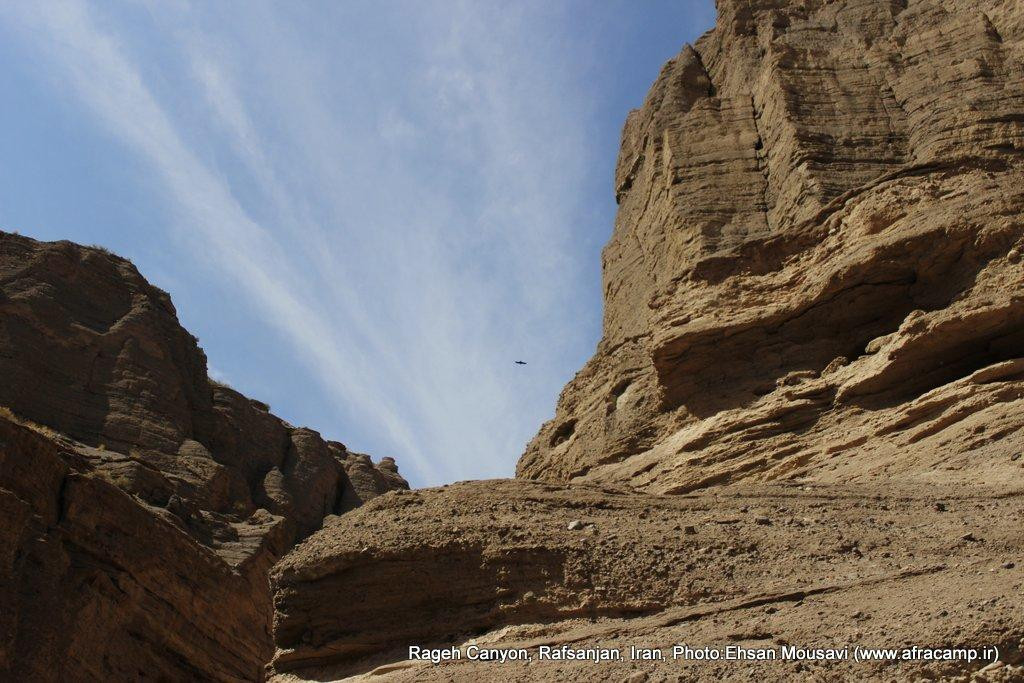 Rafsanjan旅游攻略图片