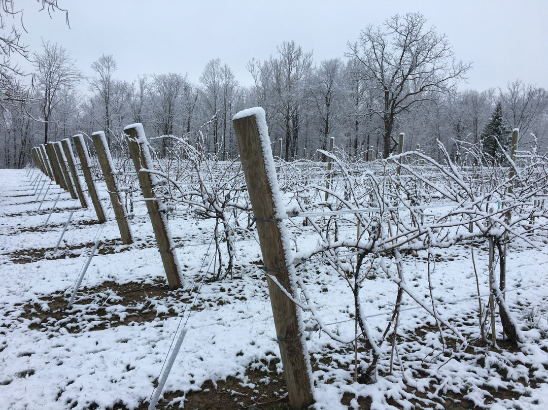 Sunman旅游攻略图片