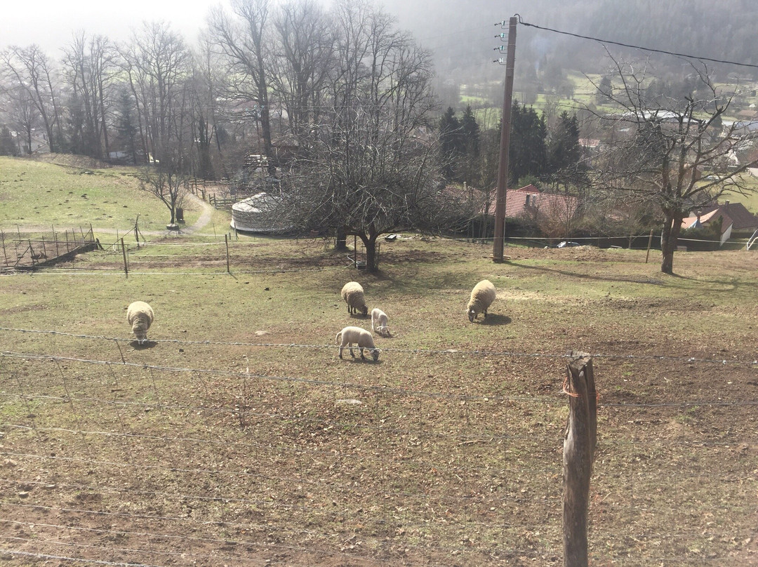 Ferdrupt旅游攻略图片