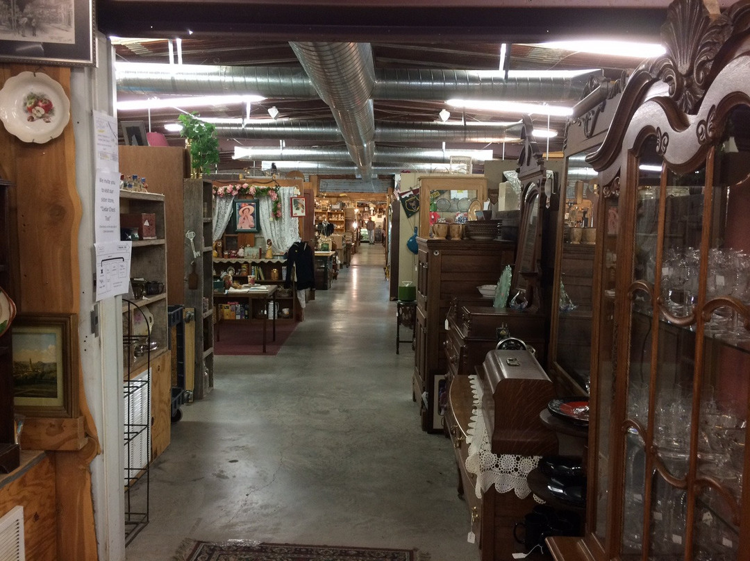 Gatesville旅游景点-Savage Finds Antiques & Oddities