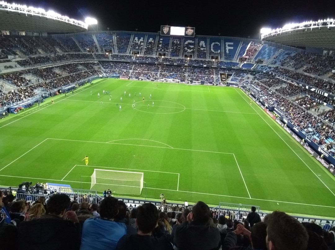 Estadio La Rosaleda景点图片
