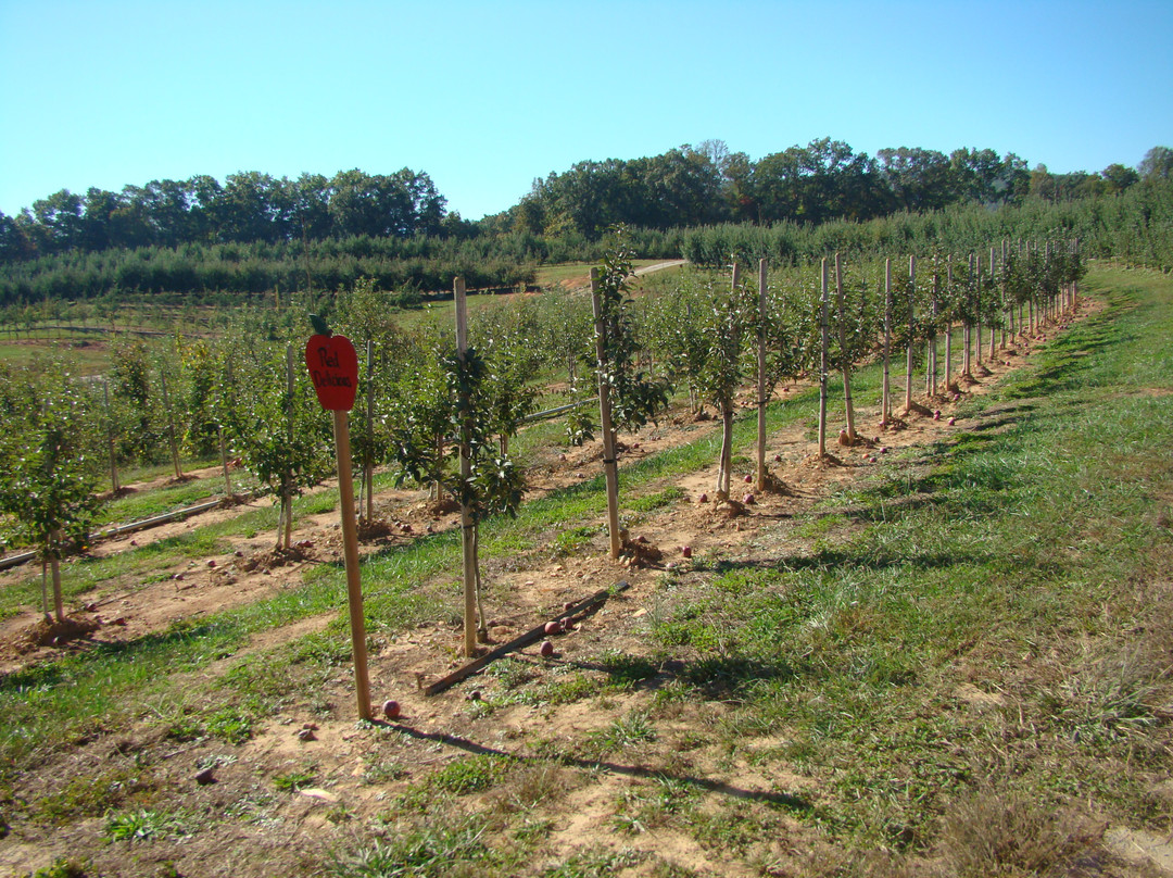 Mercier Orchards景点图片