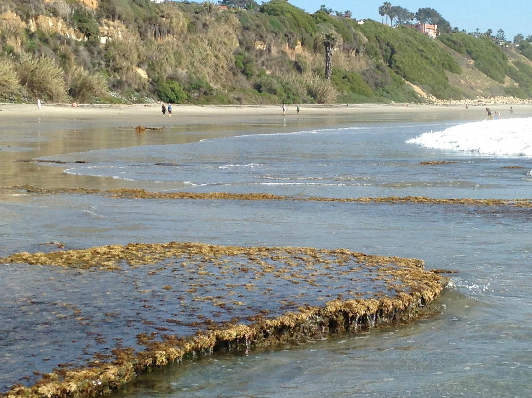 Swami's Beach-恩西尼塔斯必去景点