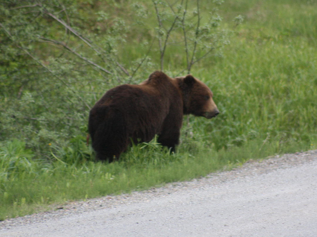 Kennel Creek Excursions-胡纳必去景点