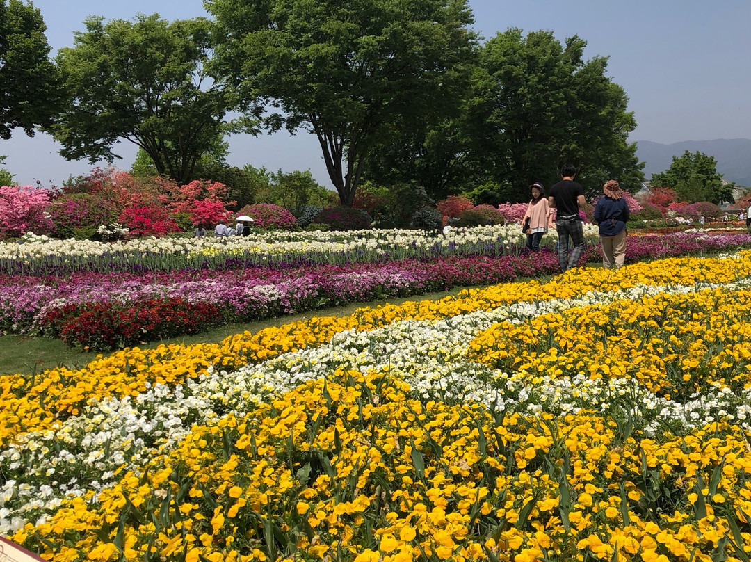 前桥县旅游景点-Gunma Flower Park