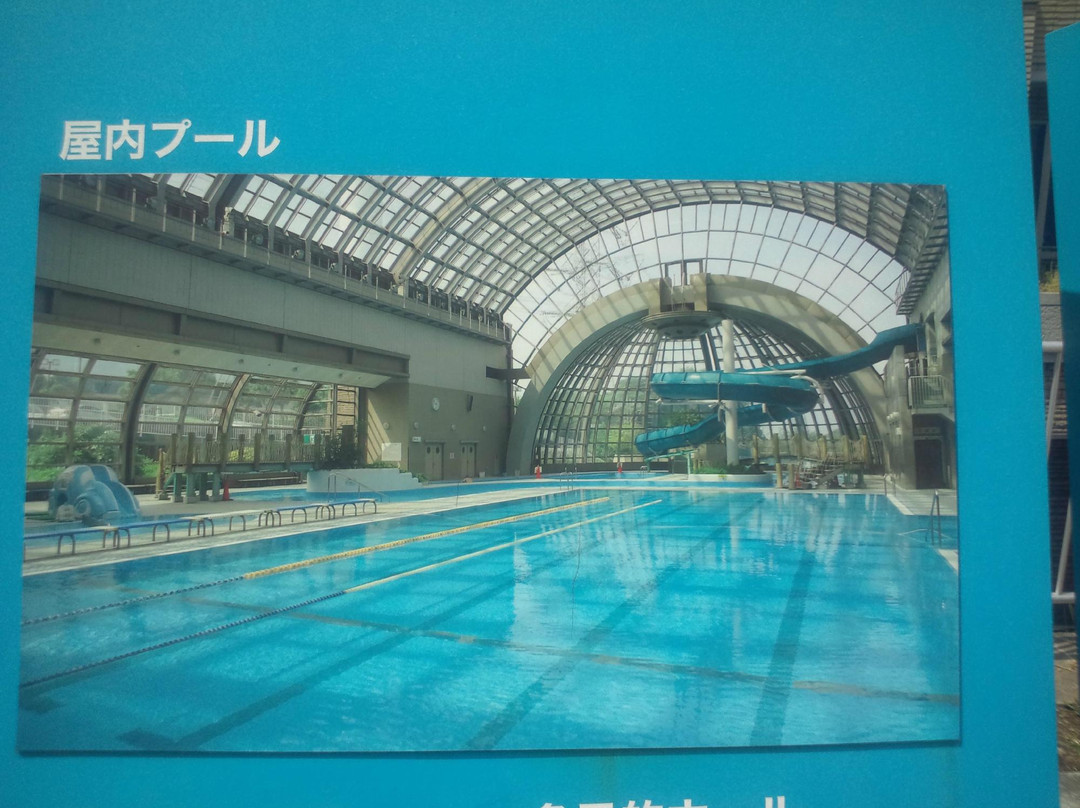 Kotehashi Onsui Pool景点图片