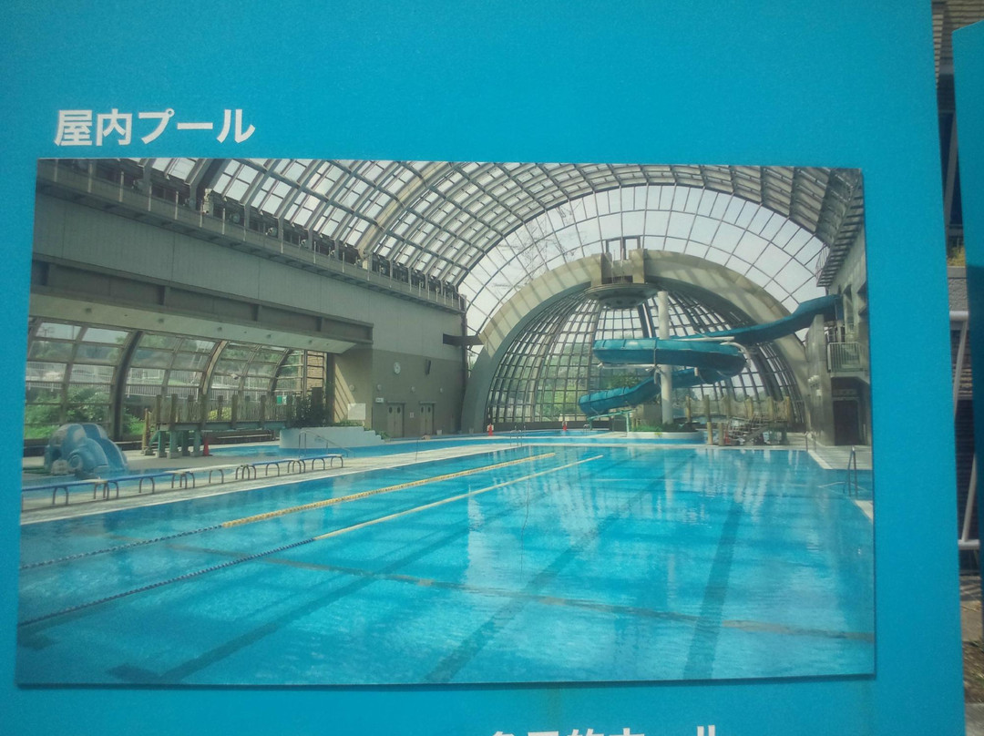 Kotehashi Onsui Pool