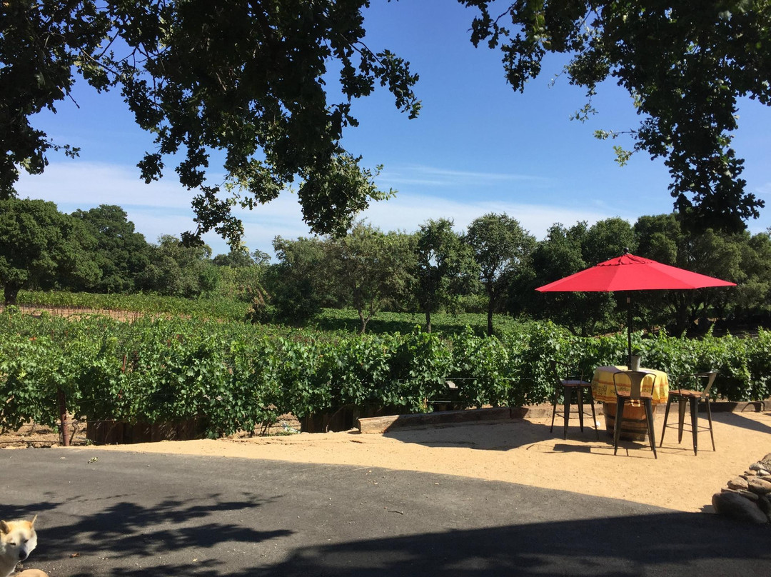 Little Vineyards Family Winery景点图片