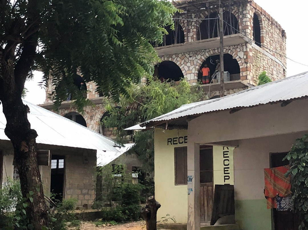 Palumbo Kendwa主图