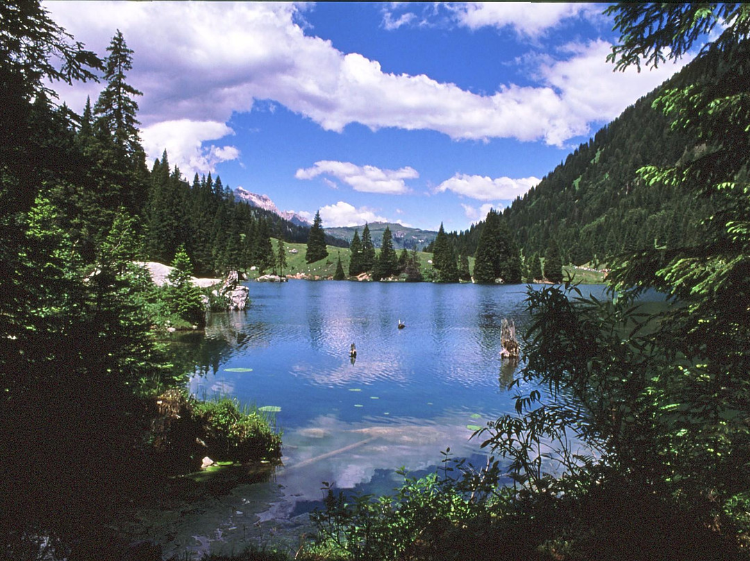 Val d'Agola-Stenico必去景点