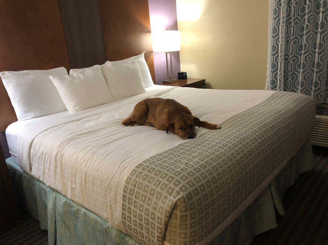 La Quinta Inn & Suites by Wyndham Elizabethtown主图