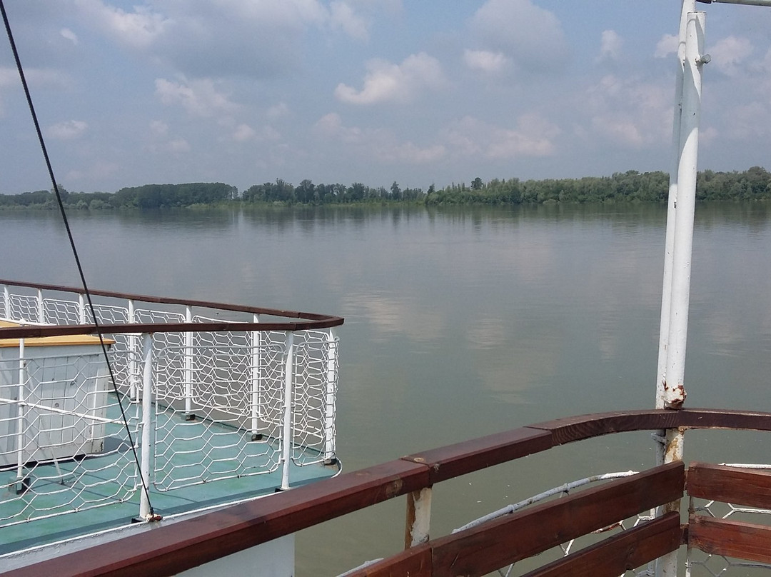 Complex Radetski主图