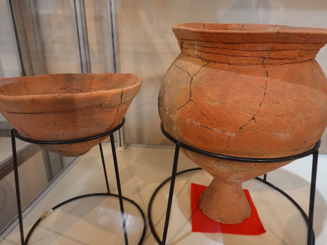 Hasuda City Cultural-莲田市必去景点