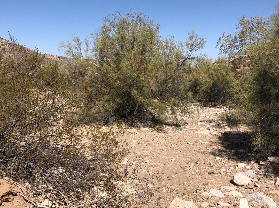 Estrella Mountain Regional Park-嘉年必去景点