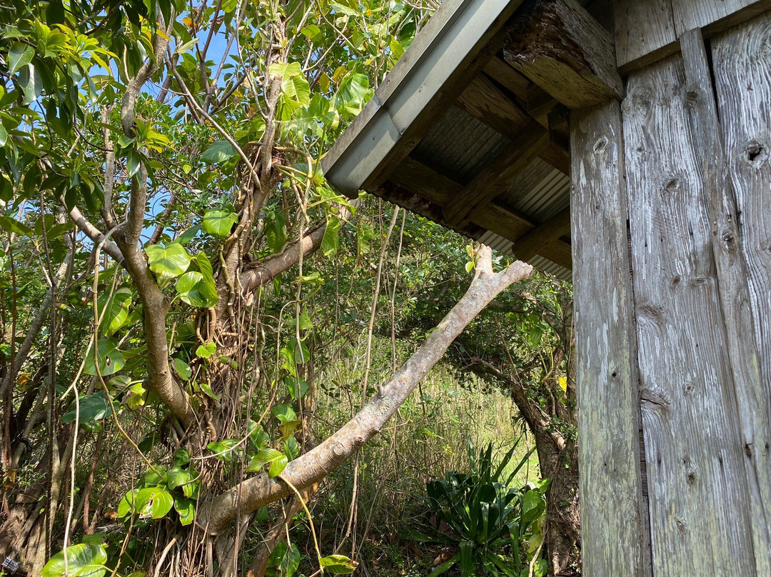 Tanaka Isson Historic House-奄美市必去景点