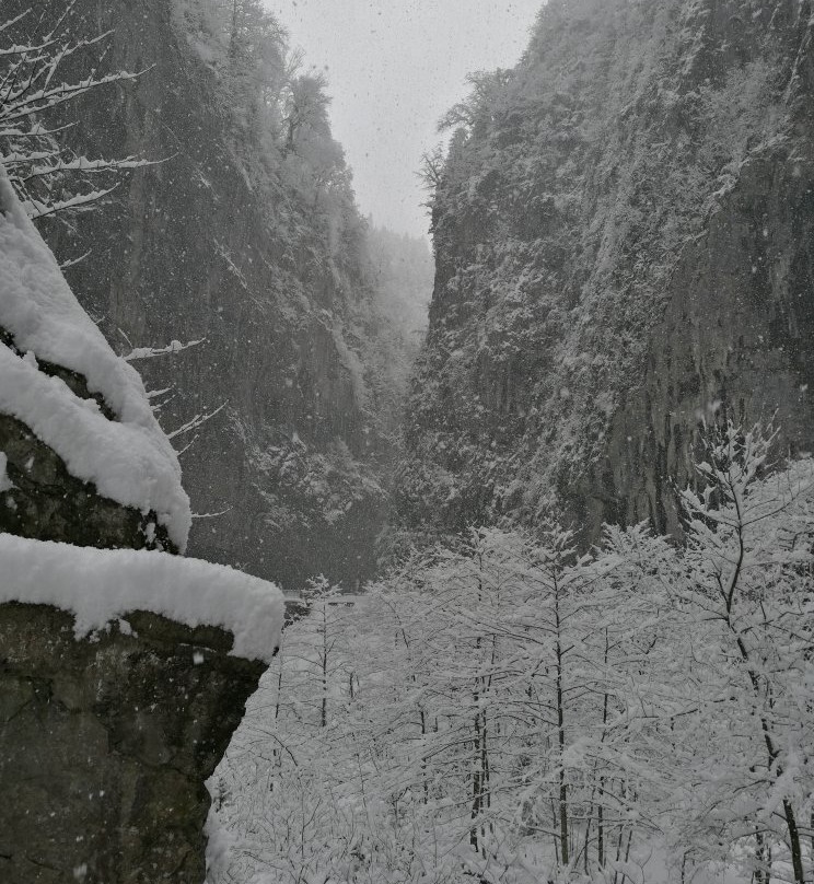 Anastasiya Tours-索契必去景点