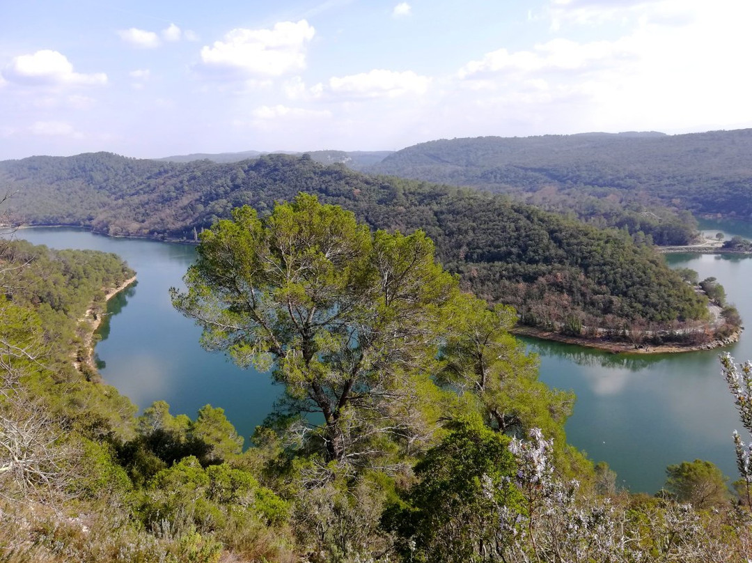 Lac de Carcès景点图片