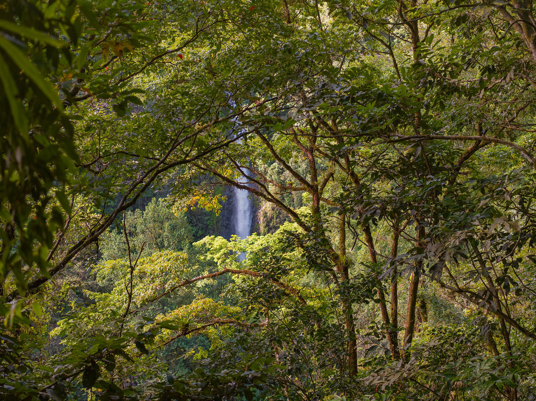 Side by Side ATV Tours & WILD LIFE-塔马林多必去景点