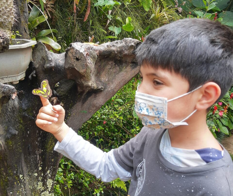 Mariposario Andoke-卡利必去景点