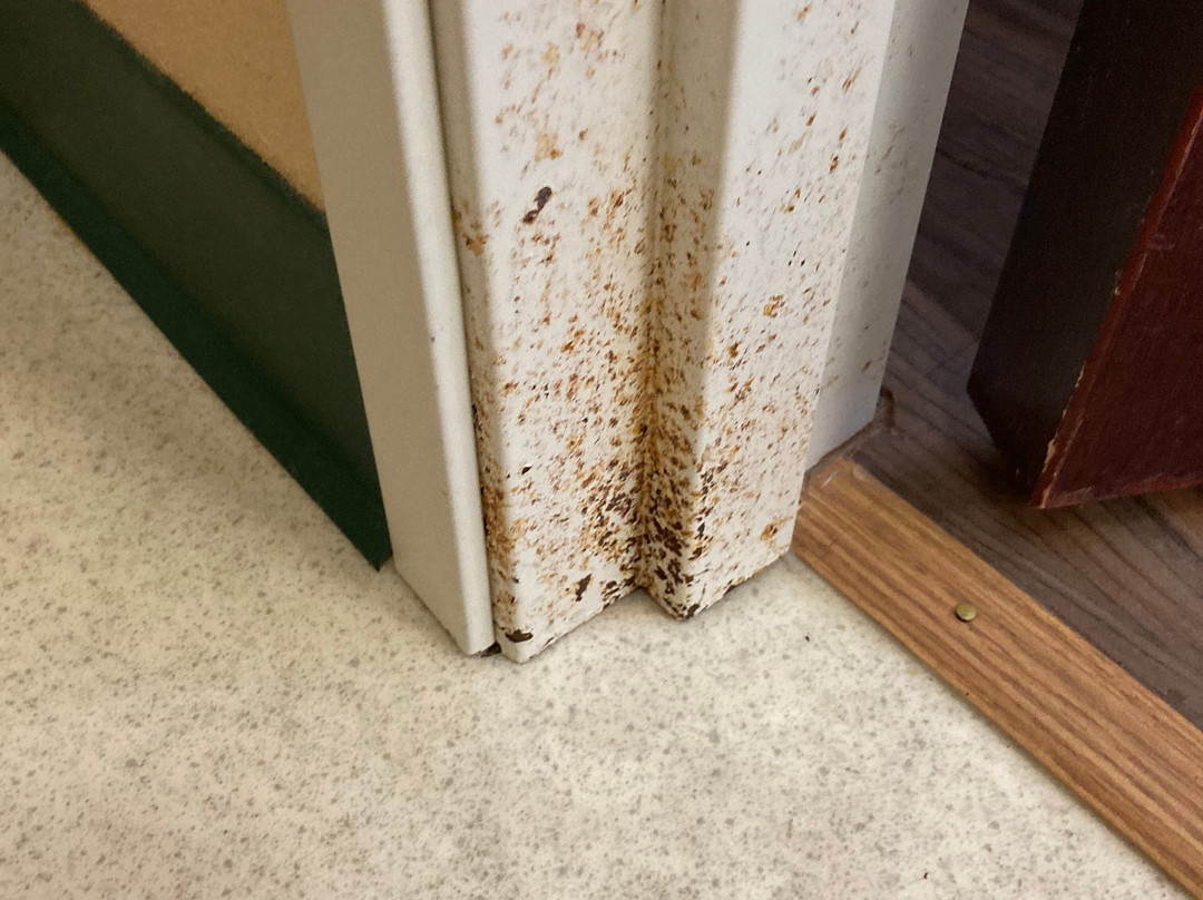 Econo Lodge Valdosta主图