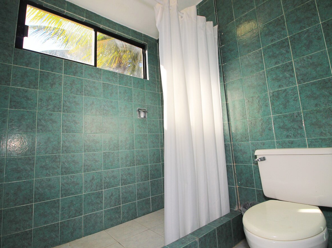 Hotel Gran Palmeiras主图