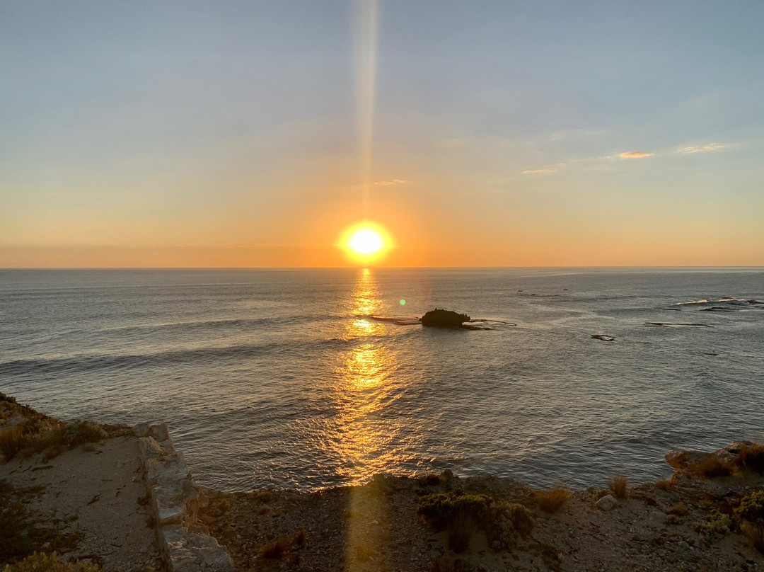 Cape Northumberland景点图片