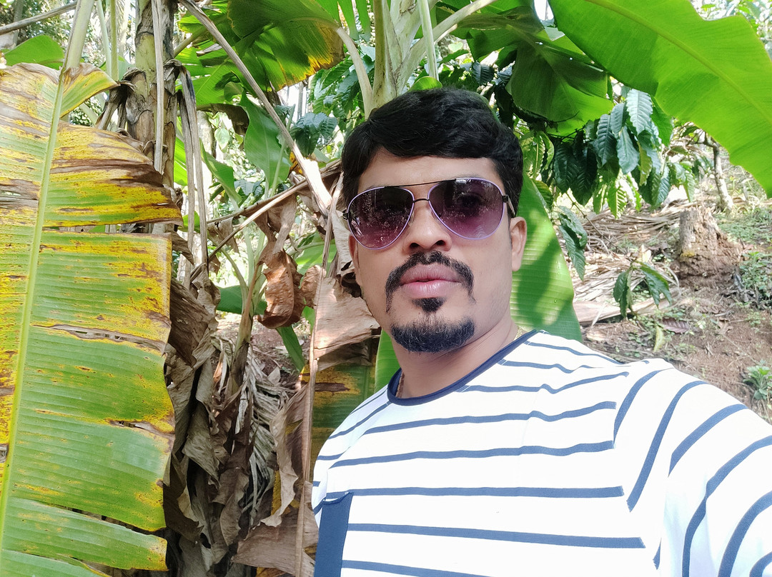 Nelli Gudda Homestay