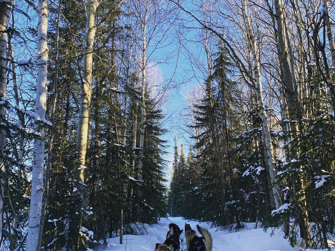 Chena Outdoor Collective-费尔班克斯必去景点