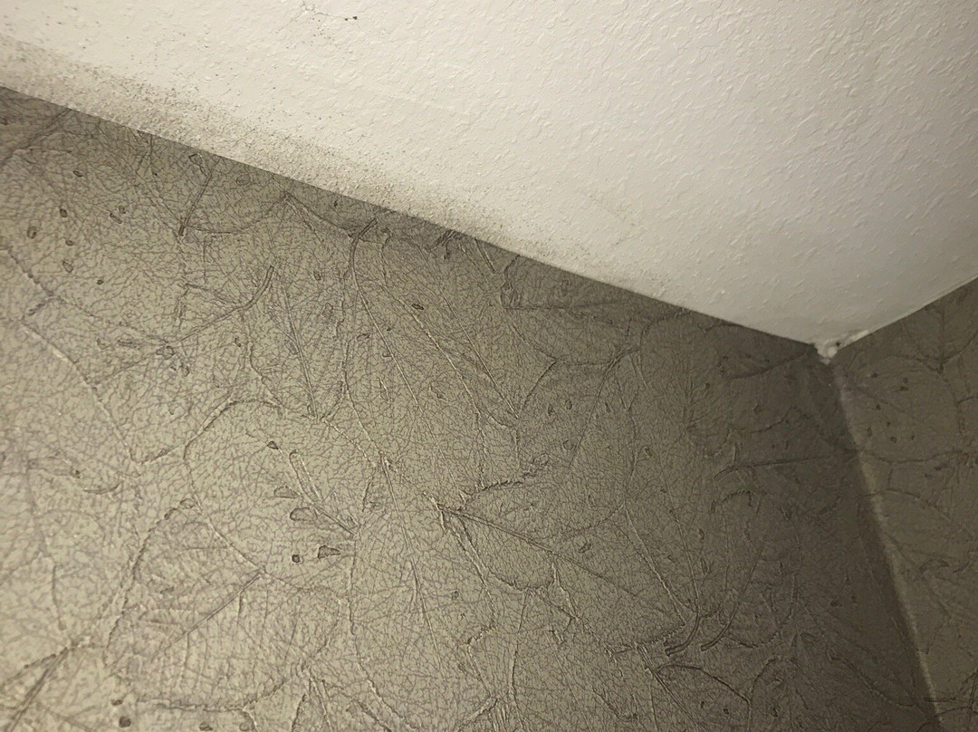 Holiday Inn Express & Suites Ada By IHG主图