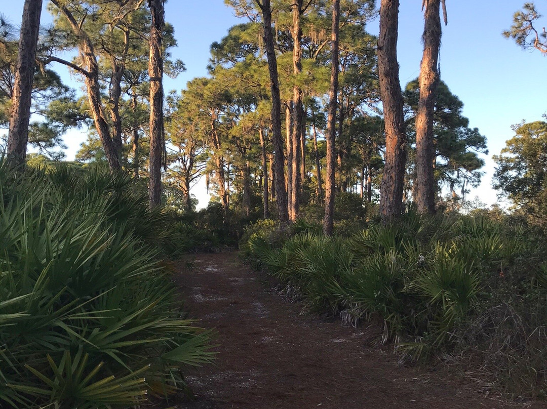 Oyster Creek Environmental Park-恩格尔伍德必去景点