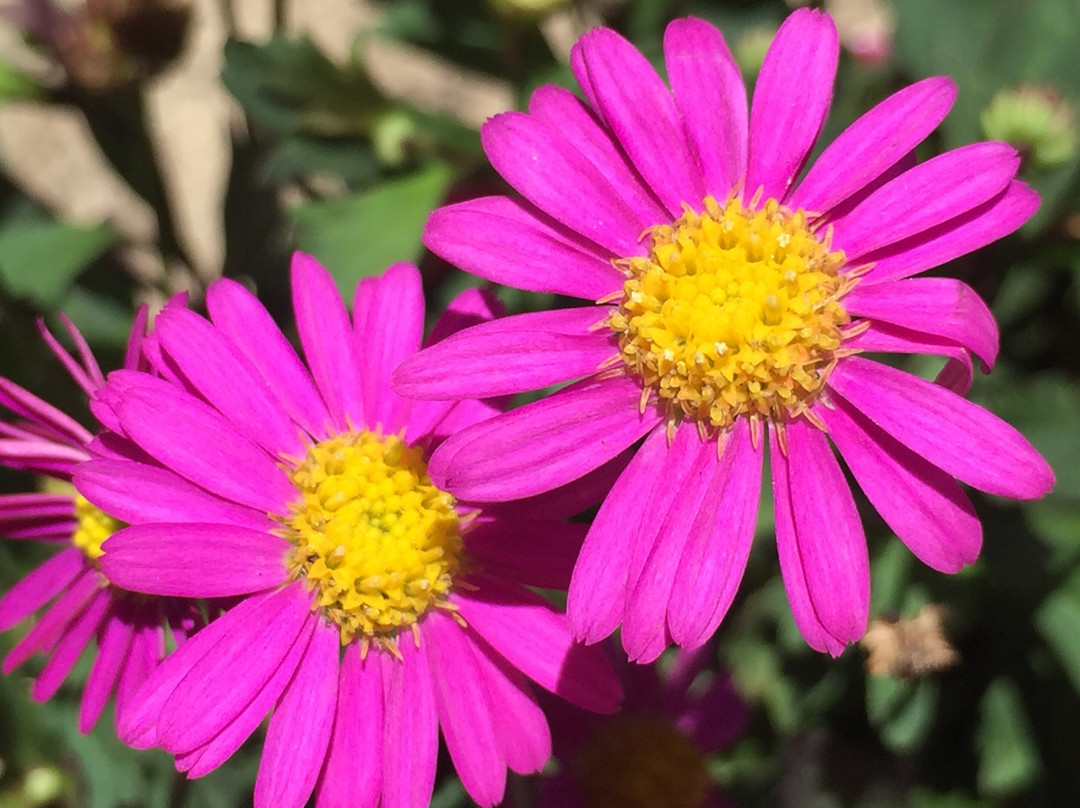 Natives 'R' Us Nursery-Traveston必去景点