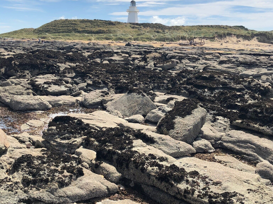 Waipapā Point Lighthouse景点图片