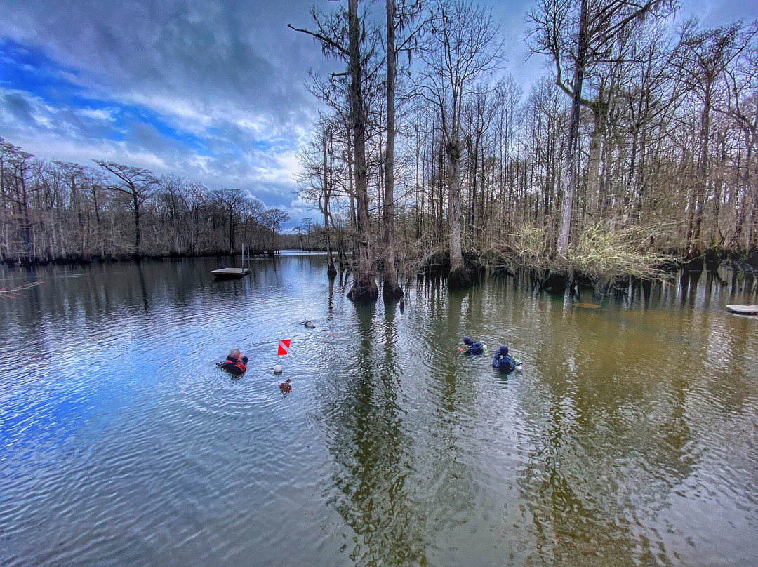 Morrison Springs County Park景点图片