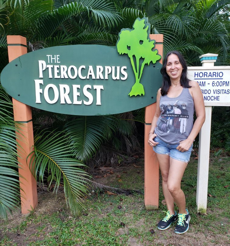 Pterocarpus Forest - Palmas del Mar景点图片