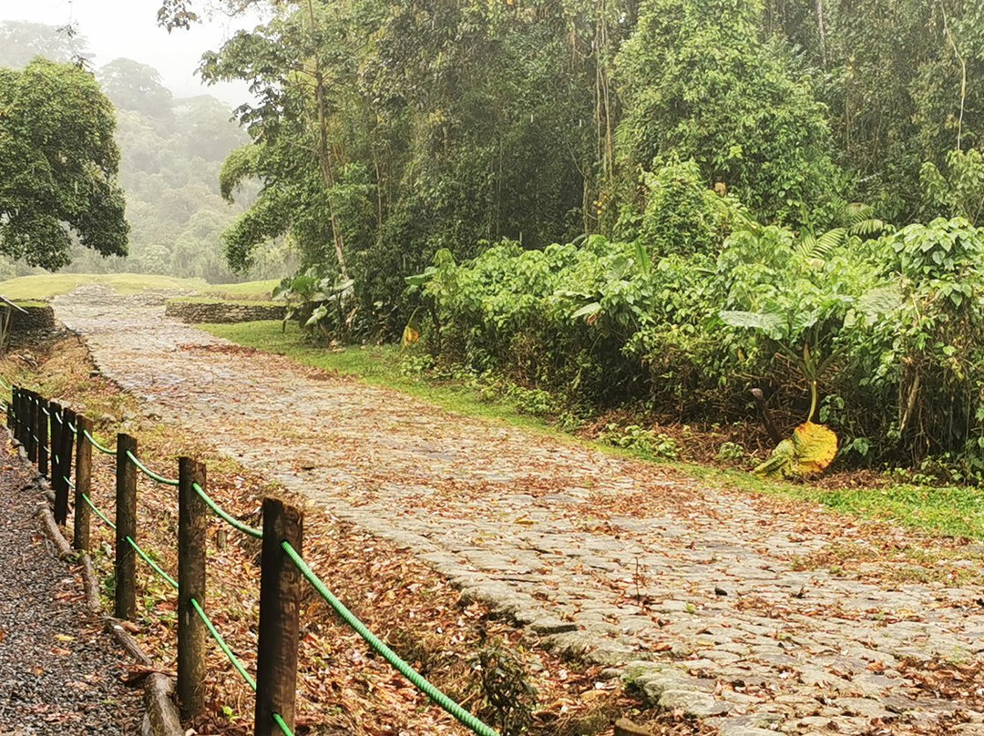 Guayabo National Monument景点图片