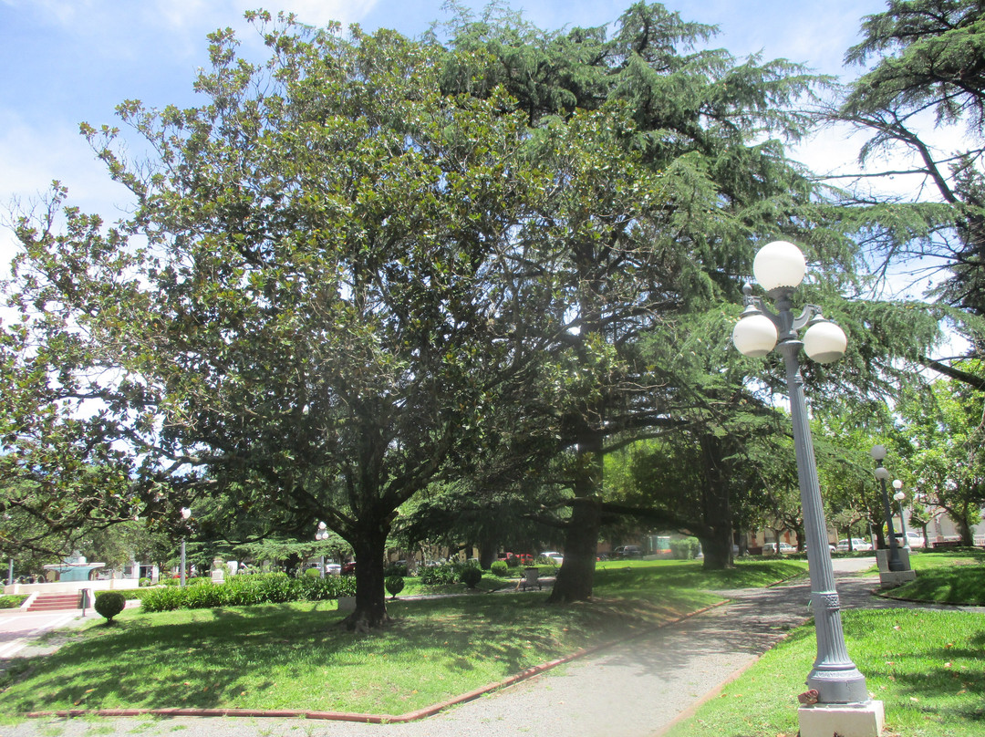 Plaza San Martín景点图片