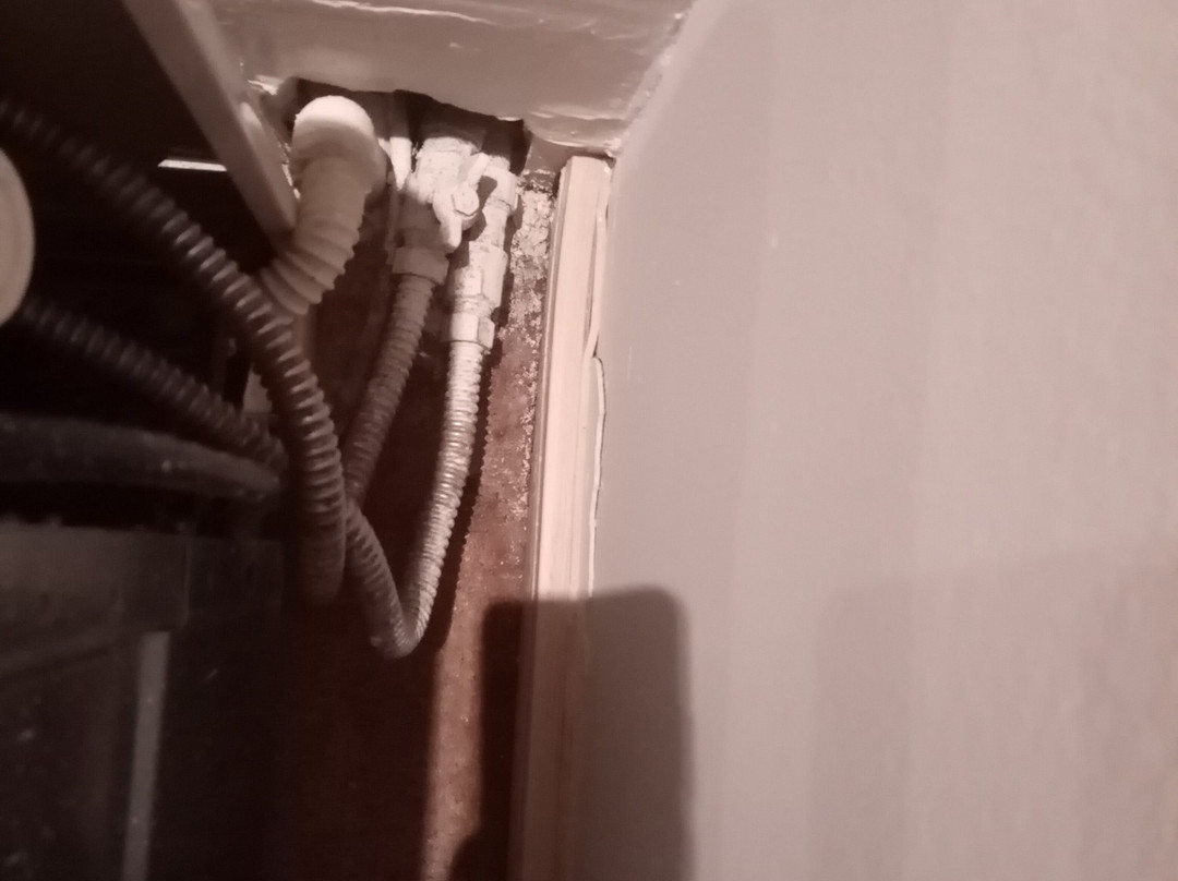 沃基沃迪那酒店主图