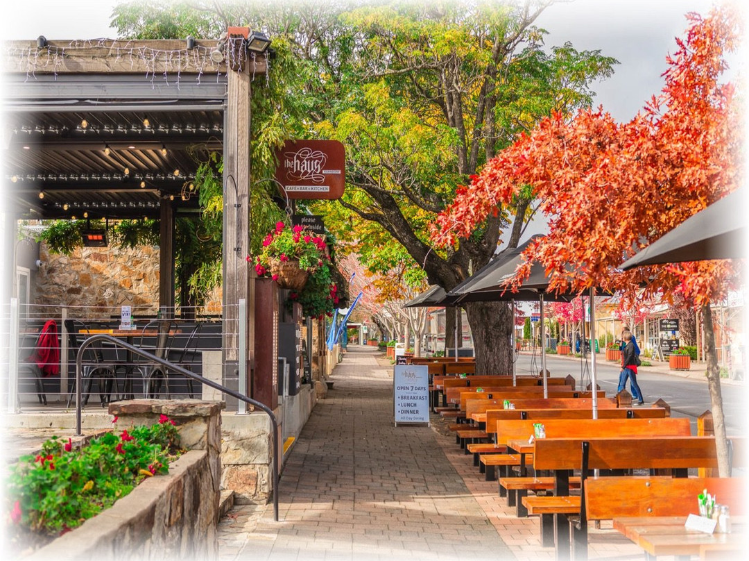 Bums On Seats Day Tours-阿德莱德必去景点