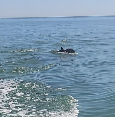 Friendly Waves Charters-迈尔斯堡海滩必去景点