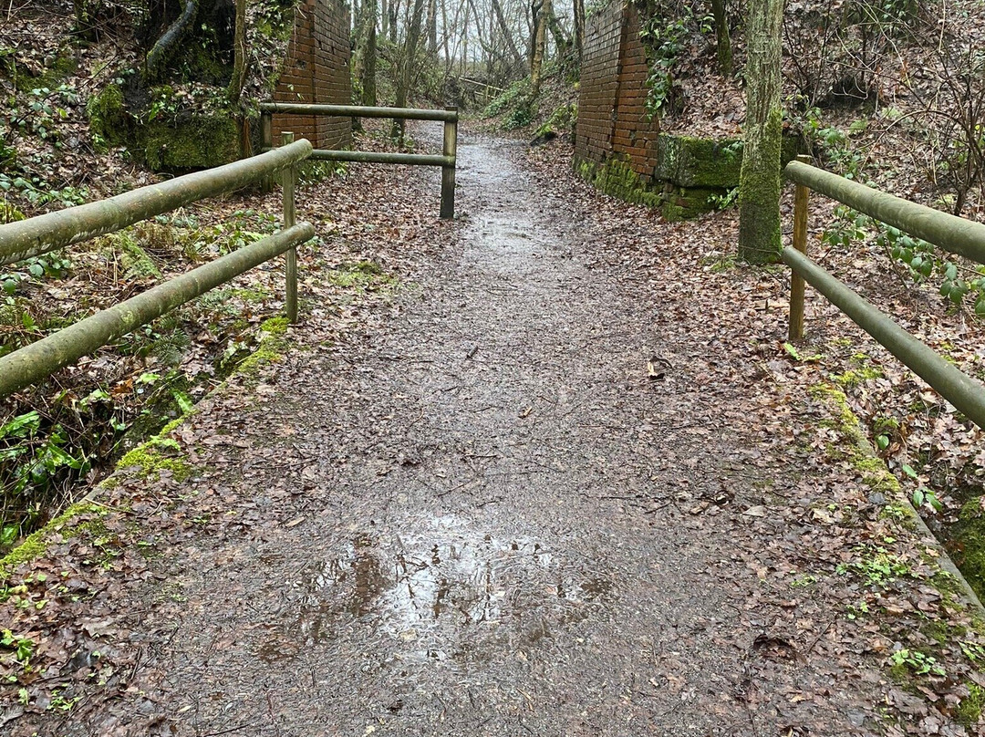 Siding Lane Local Nature Reserve-Rainford必去景点