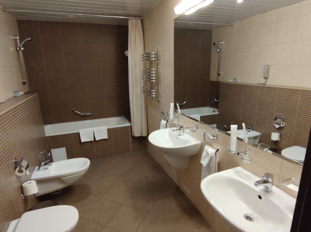 Hotel Victoria - International Business Center主图