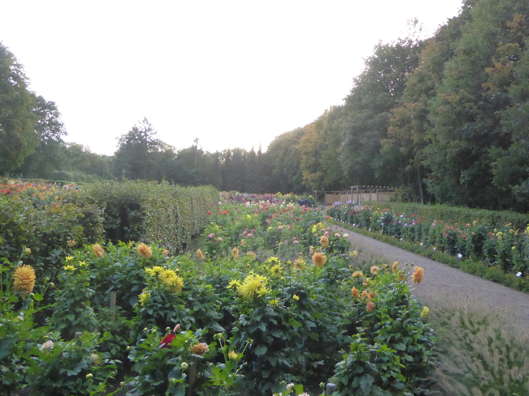 Dahliengarten-汉堡必去景点