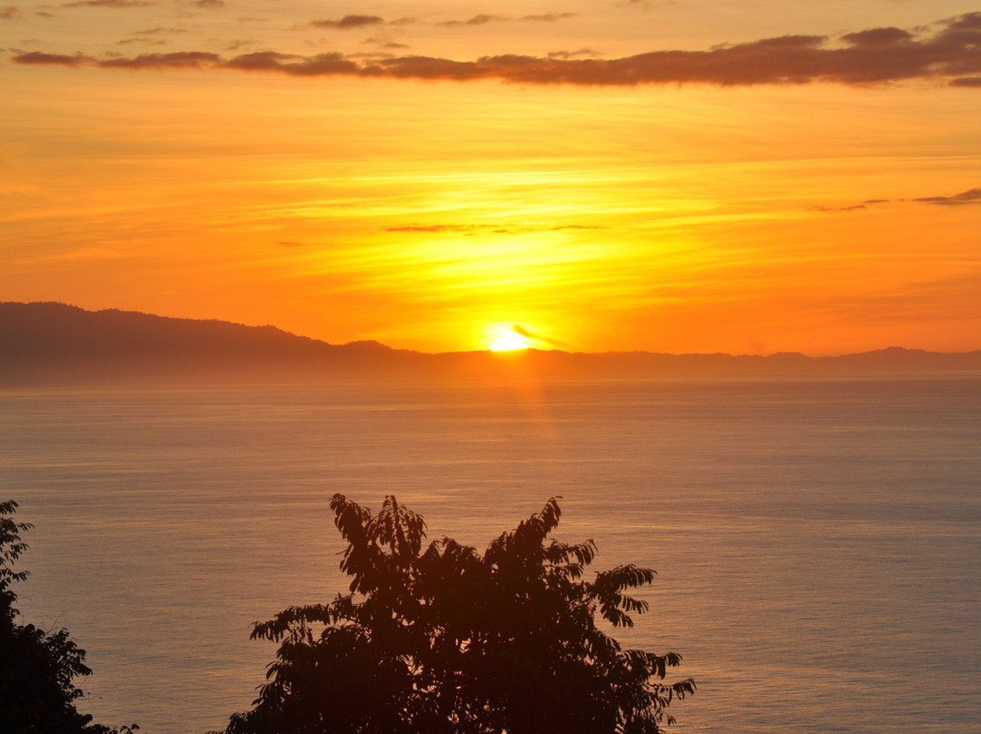 Bosque del Cabo Rainforest Lodge主图