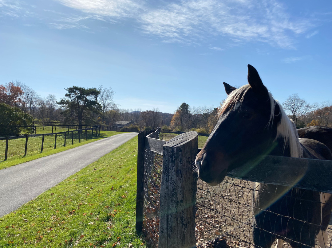 WhistleWood Farm Bed and Breakfast主图