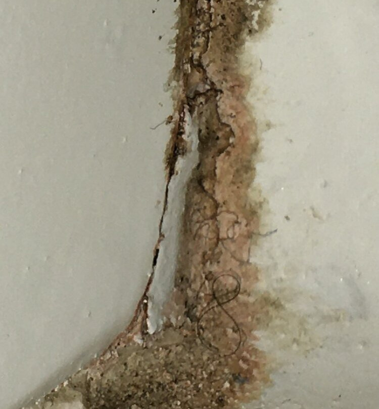 Red Roof Inn Findlay主图