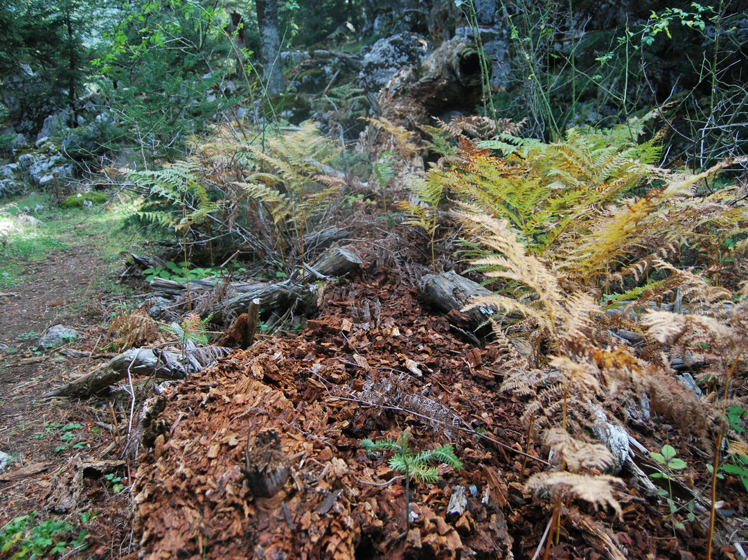 Elatos Resort & Health Club主图