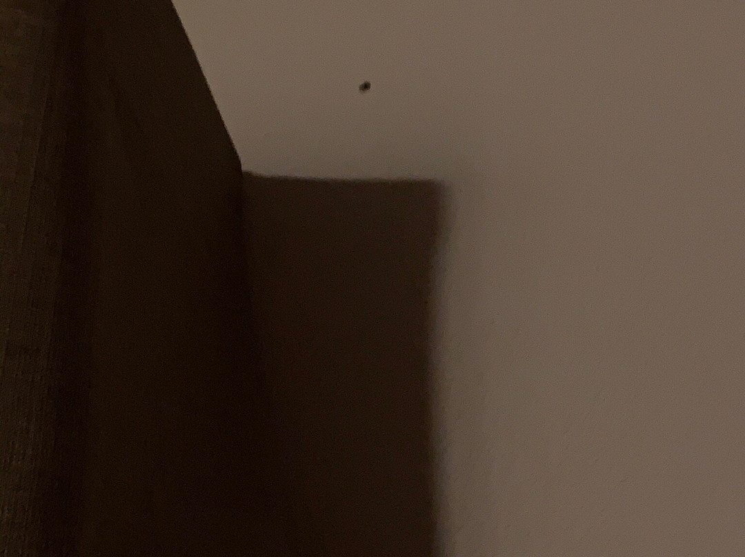 Sleep Inn & Suites主图